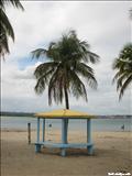 El Muelle Casi Pesca - ARECIBO